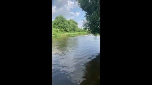 Дикая прогулочка Шахово