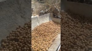 Станок для чистки орех