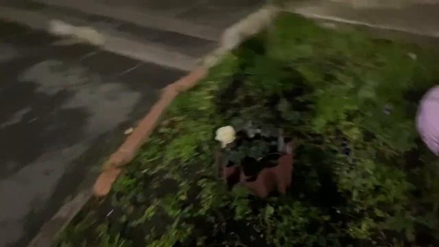 Влог: Красиво ночью в городе Тайга .