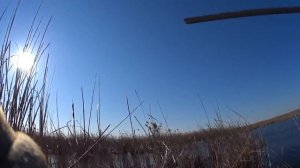 иж 58 12к и иж 27 20к. охота на утку 2022. охота с горизонталкой