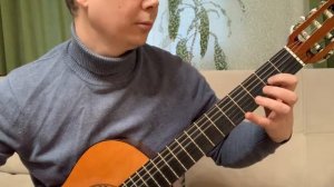 Гитара Admira Fiesta - Этюд №14 Каркасси