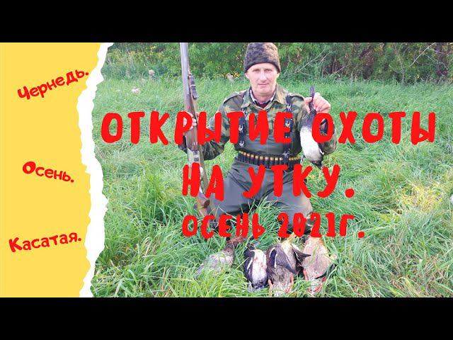 Открытие охоты на утку  Осень 2021 г