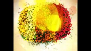 Заставки канала Домашний (2008-2009) [Оригинал]