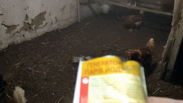 ?? ??ГЕНЕРАТОР ПАРОВ ЙОДА ДЛЯ ПРОФИЛАКТИКИ И ЛЕЧЕНИЯ РЕСПИРАТОРНЫХ ЗАБОЛЕВАНИЙ ПТИЦЫ. Делюсь опытом