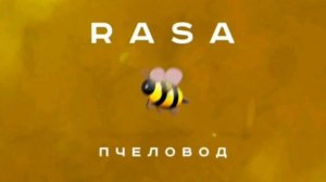 Rasa- Ты пчела я пчеловод🐝