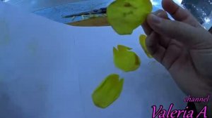 Мастер-класс Картина из сухих цветов или как быстро сделать гербарий