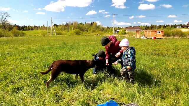 Дача 1 видео - туалет смотреть онлайн