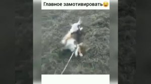 ПРИКОЛЫ на ОХОТЕ. СМЕШНЫЕ случаи на охоте.#1