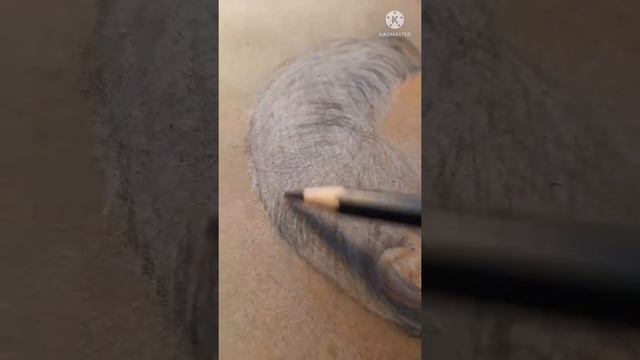 Светлана Сурганова. Не художник уж прости