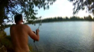 Ловля сазана на пьяную кукурузу