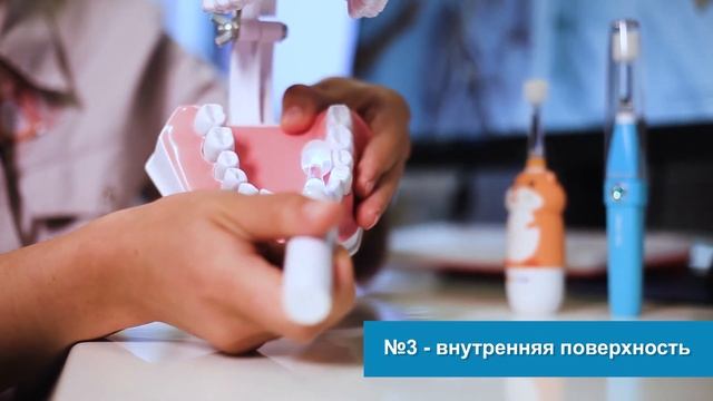 Правильная техника чистки зубов. Зубные щетки Mega Ten!