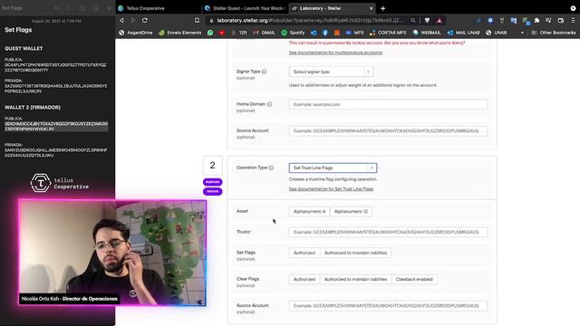 13: Set Flags - Stellar Quest Español смотреть онлайн
