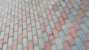 Педальный узел на гидроход минипогрузчика