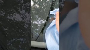 Как просто, дёшево и быстро удалить смолу дерева на кузове машины. 100% работает!