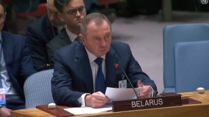 Выступление Министра иностранных дел Беларуси В.Макея на заседании Совета Безопасности ООН