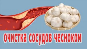 Чеснок повышает или понижает давление?