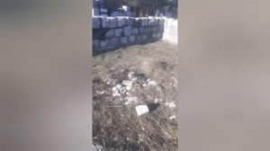 Начал строить омшаник и помещение (цех) для  откачки мёда..mp4