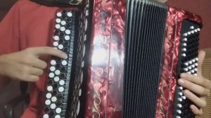 ОБУЧЕНИЕ САГЫНУ НА БАЯНЕ ИЛЬСИЯ БАДРЕТДИНОВА
