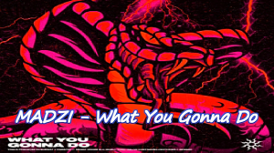 ?✅СВЕЖАК 2023?MADZI - What You Gonna Do?