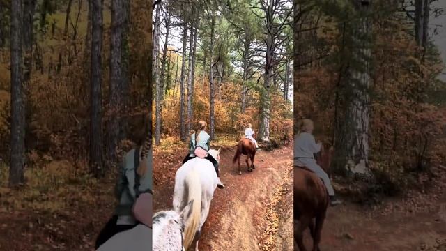 ?КОННАЯ ПРОГУЛКА НА БИРЮЗОВОЕ ОЗЕРО!?? смотреть онлайн