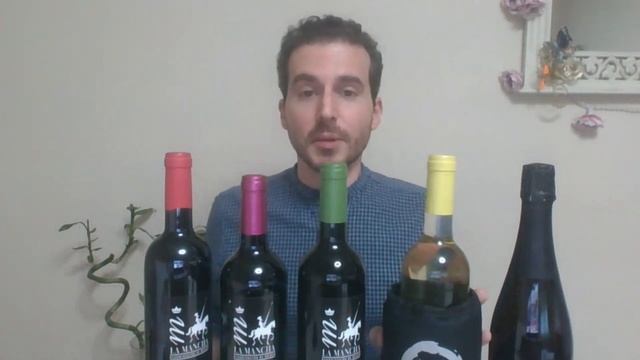 Momentos de Vinos: Temperatura de servicio por tipos de vinos смотреть онлайн