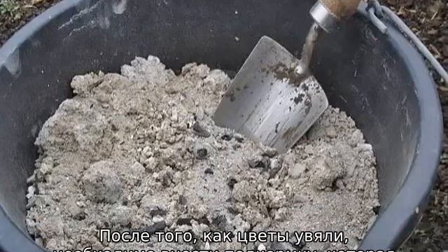 Уход за нарциссами смотреть онлайн