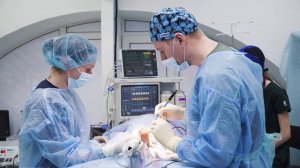 Иванов Михаил Владимирович - главный ветеринарный врач, хирург