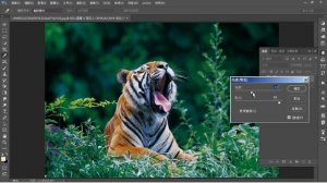 Photoshop 進階 在CMYK模式下修改照片色彩