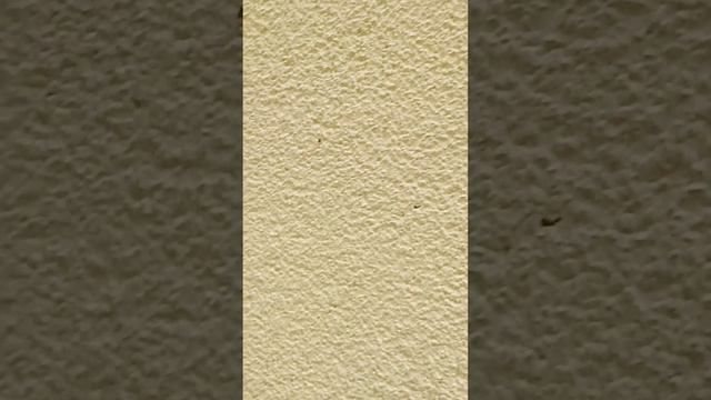 МОСКОВСКИЙ ЗООПАРК.часть 6#москва #московскийзоопарк #люблюмоскву смотреть онлайн