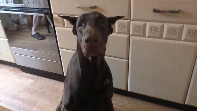 Наше обычное утро смотреть онлайн