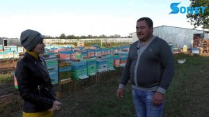 ПАСЕКА В. ПЛАКСИЙ В С. ДЯТЛОВКА