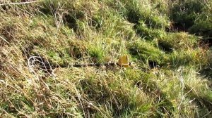 Хороший коп по металлолому! Много цельного железа, Garret победил, бензорез снова в деле...