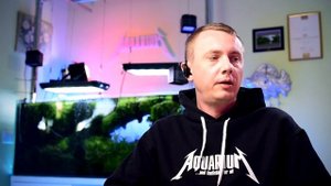 Дизайн аквариума: работа с камнем и грунтом лайФФсейшин