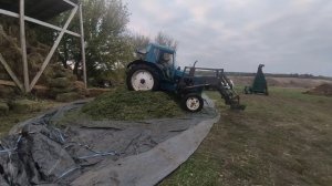 Заготовка сенажа (силоса) люцерны поздней осенью КИР1.5