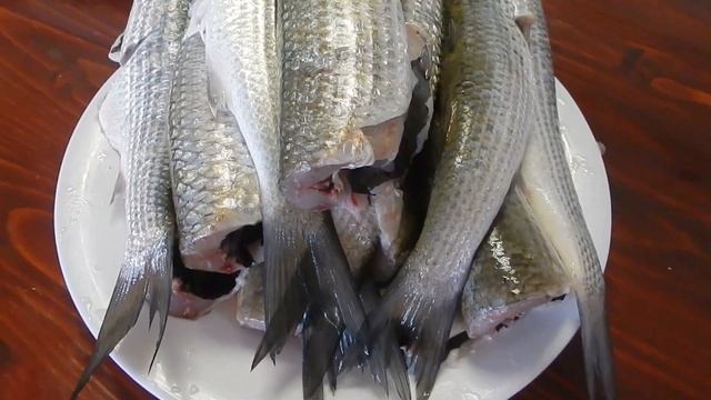 Моя улюблена кефаль смотреть онлайн