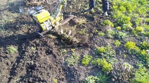 Культивация мотоблоком агромаш на первой и второй скорости. Оцениваем передаточные на новой кпп