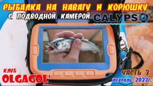 Рыбалка в домике с подводной камерой Calypso . Корюшка и навага в Лазарев день 3