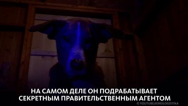 ЧТО ПОСМОТРЕТЬ: КИНОПРЕМЬЕРЫ АВГУСТА