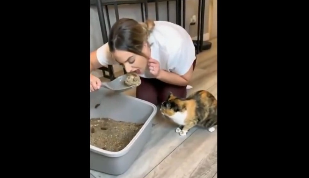 Смешные приколы Февраль 2023 #127 смотреть онлайн