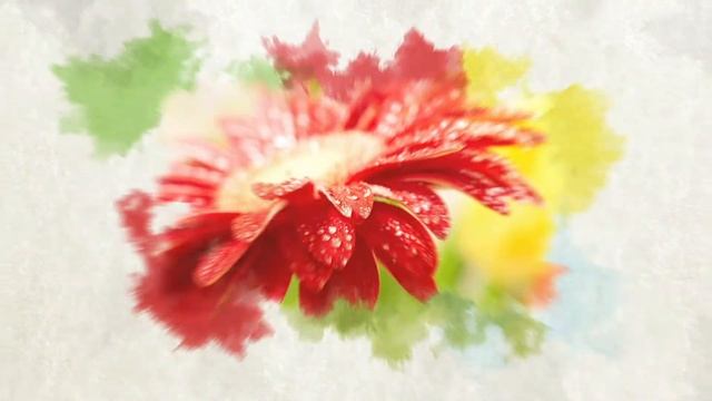 8 марта. С праздником, любимые! смотреть онлайн