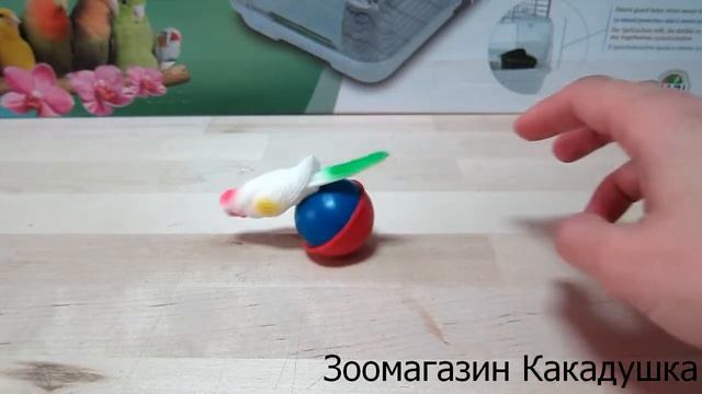 Неваляшка-попугай смотреть онлайн