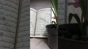 Арсланбек Алиев - Рукъя аяты сихра, узлов, крепостей, сглаза.