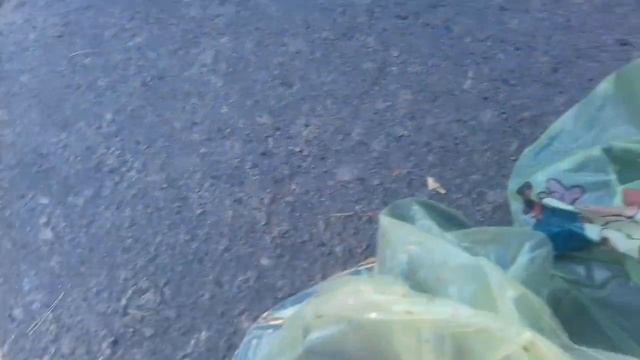 Грибы в Колёса! смотреть онлайн