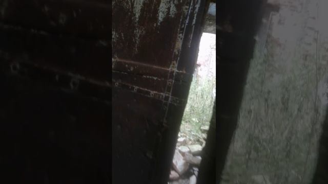 Коп в Тверской области.