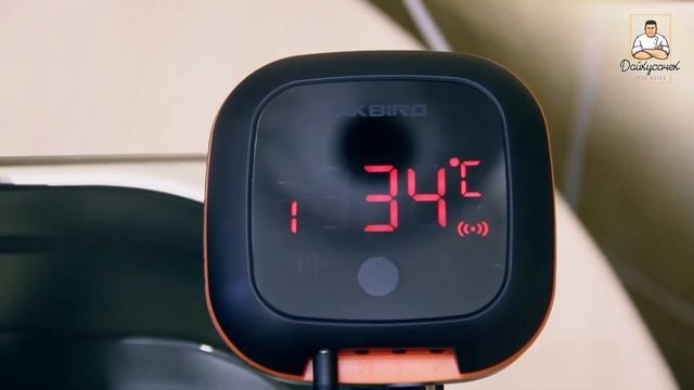 Термостат для Sous Vide (Cу-вид) и термометр со щупом смотреть онлайн