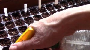 Грунт для рассады.  Какой нужен грунт, чтобы иметь крепкую рассаду!?