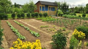 Вот, купили дачу для отдыха. - Ну и как, отдыхаете? - Да, когда на дачу не ездим...