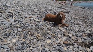 Бухта Инал. Изучаем ДНО. Лучшее место на Черноморском побережье