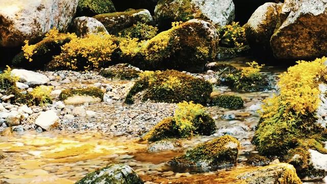 Звуки природы - Буйство цветов в ручье ✦ Релакс ✦ Релаксация