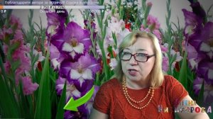 Почему при вязании бока получаются длиннее?
